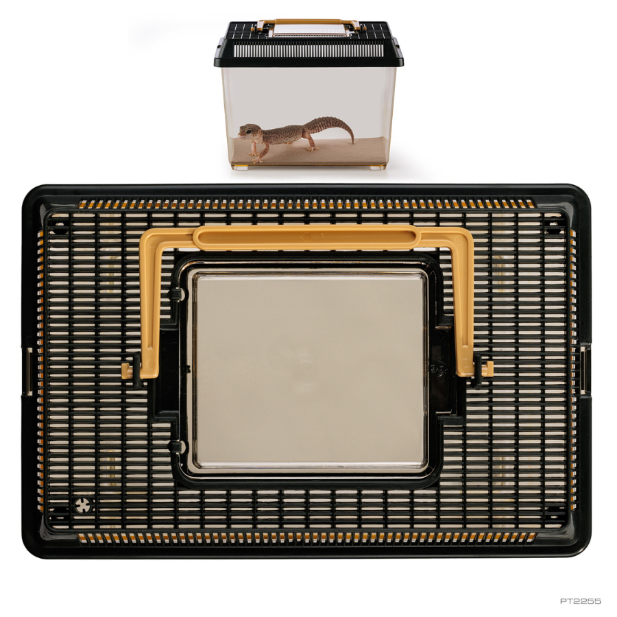 Faunarium peque&ntilde;o, , large Imagen numero 3